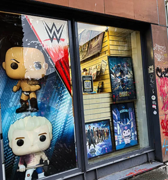 Funko: Avoid This Stock As Sales Pull Back Further (NASDAQ:FNKO)