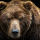 The Next Bear Market May Have Just Begun
