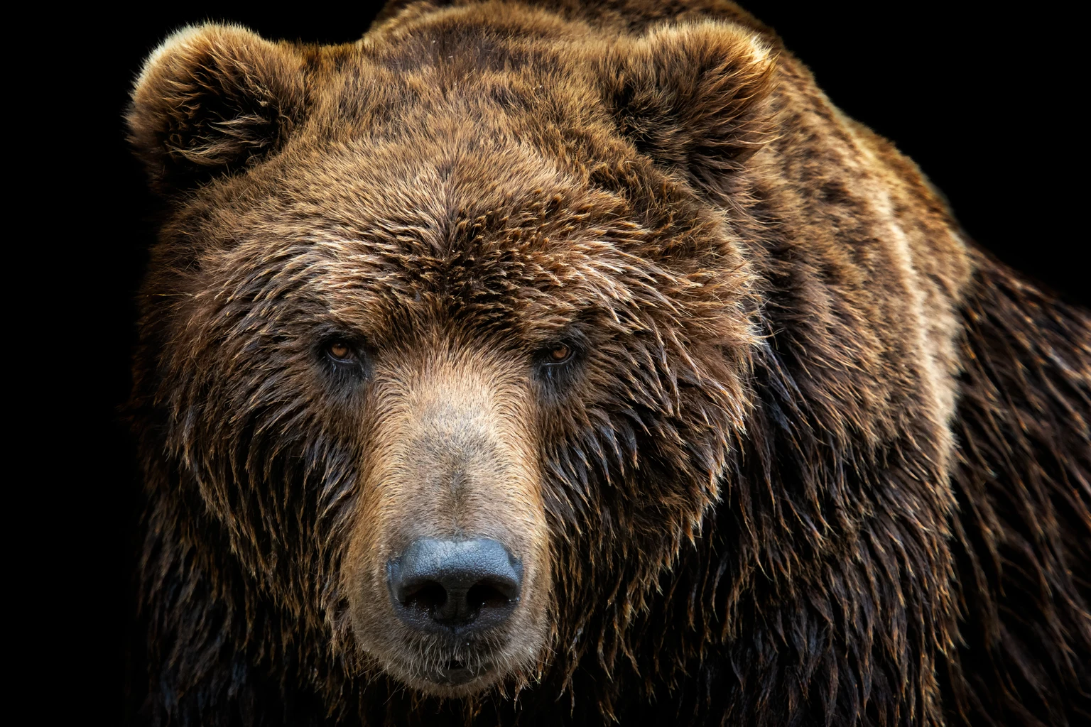 The Next Bear Market May Have Just Begun