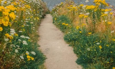 Darren Millar: Wales has had enough of Labour - but there is a pathway to real change