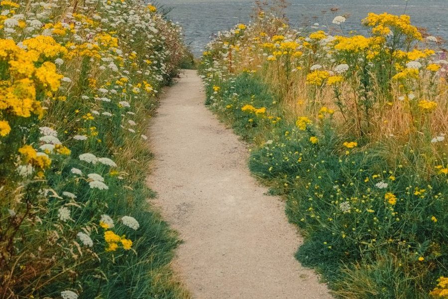 Darren Millar: Wales has had enough of Labour - but there is a pathway to real change