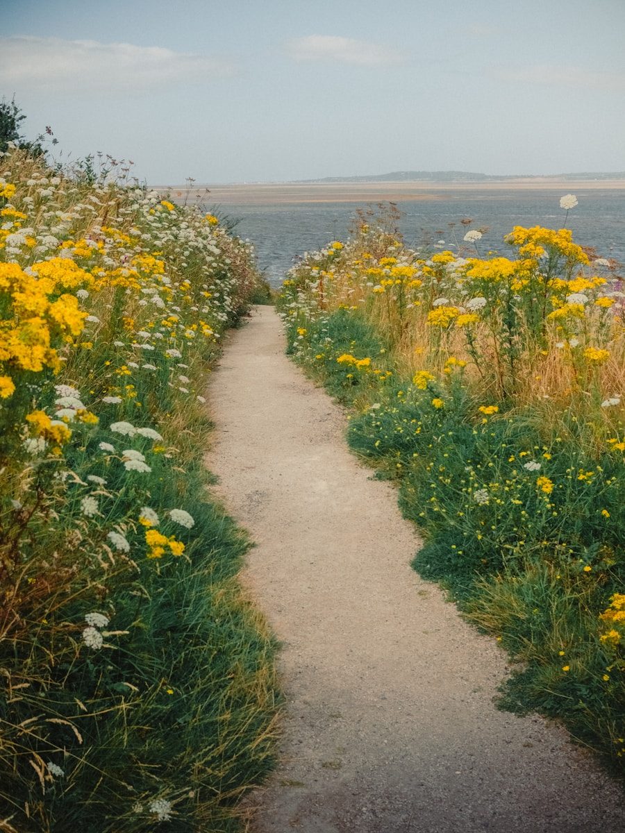 Darren Millar: Wales has had enough of Labour - but there is a pathway to real change