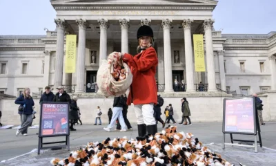 Fox hunting: an April fool or a resolution upheld?