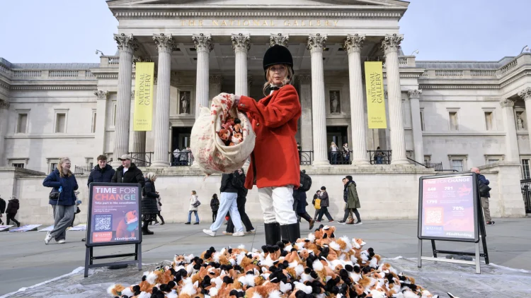 Fox hunting: an April fool or a resolution upheld?