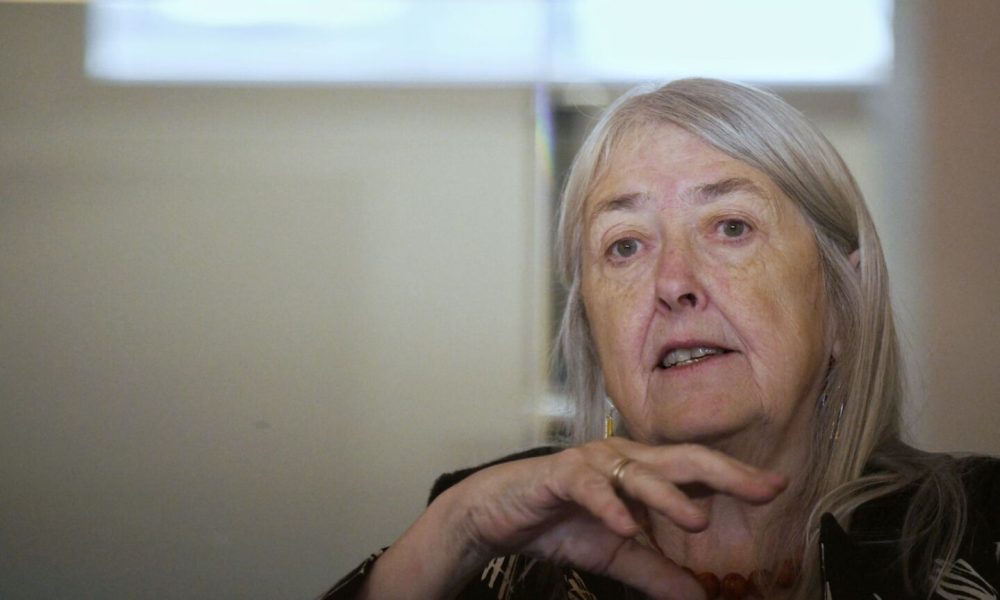 Mary Beard: a feminist for Islam?