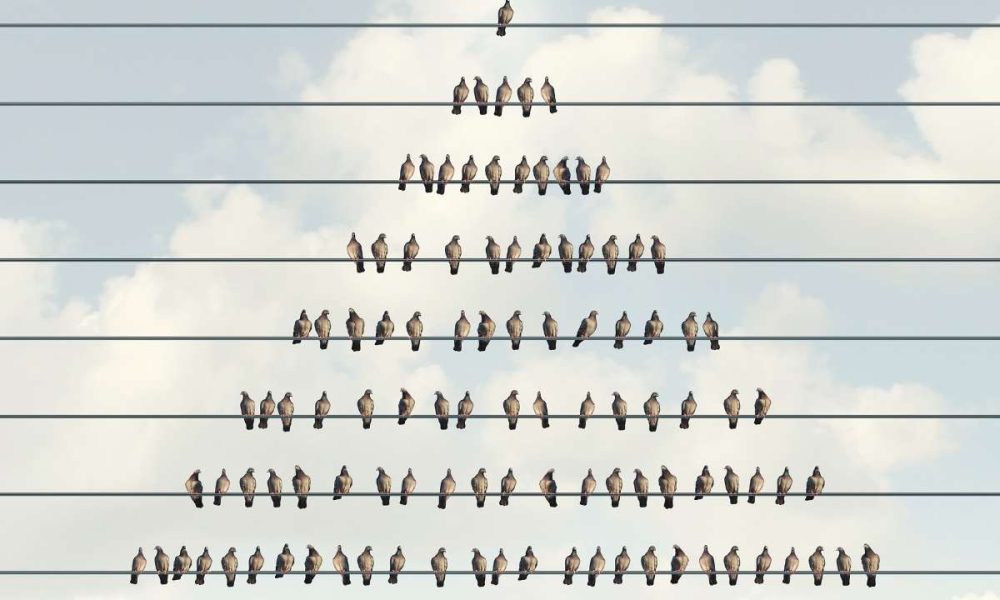 U.S. Authorities Arrest Goliath Ventures Executive for Alleged $328M Crypto Ponzi Scheme