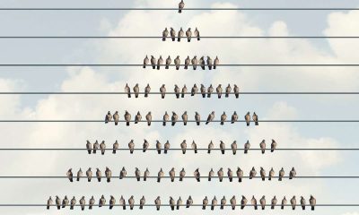 U.S. Authorities Arrest Goliath Ventures Executive for Alleged $328M Crypto Ponzi Scheme