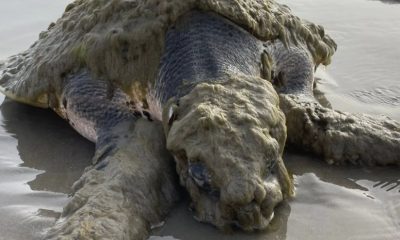 NASA Van Allen Probe A Set for Uncontrolled Re-Entry After