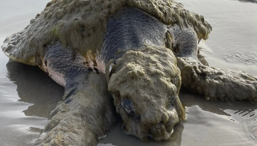 NASA Van Allen Probe A Set for Uncontrolled Re-Entry After