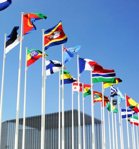 What patriotism means to you