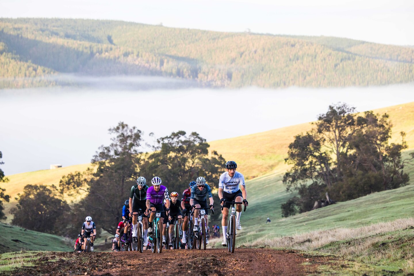 Nannup rolling on a global stage