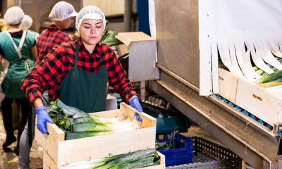 Anchr raises $5.8M to build AI-powered operating system for food distribution supply chains