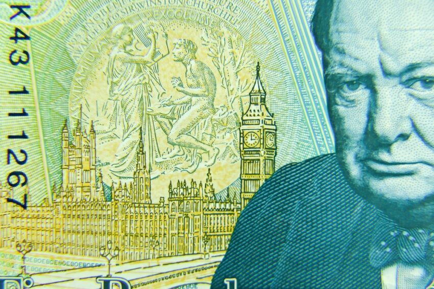 Sir Winston Churchill and other historic figures currently featured on British banknotes are set to be replaced by wildlife under plans announced by the Bank of England following a nationwide public consultation.