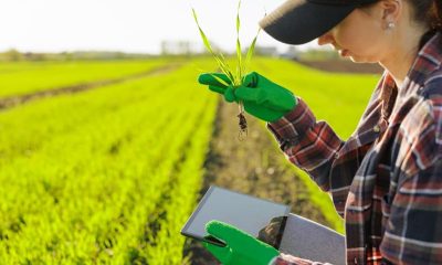 Bindbridge raises $3.8m to fight herbicide resistance with AI-designed crop protection
