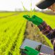 Bindbridge raises $3.8m to fight herbicide resistance with AI-designed crop protection