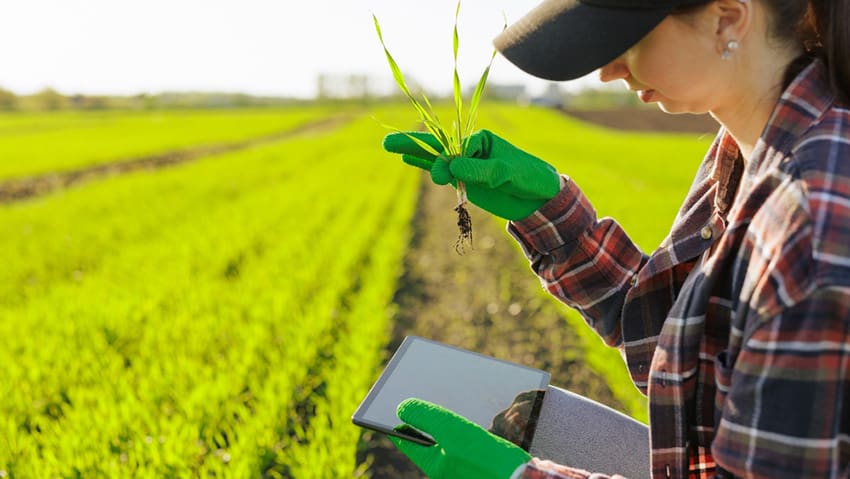 Bindbridge raises $3.8m to fight herbicide resistance with AI-designed crop protection