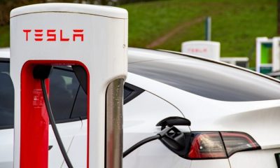 Tesla has almost halved the cost of leasing its electric cars in Britain, in a bid to reverse sliding sales and shore up its market share against fast-growing Chinese competitors.