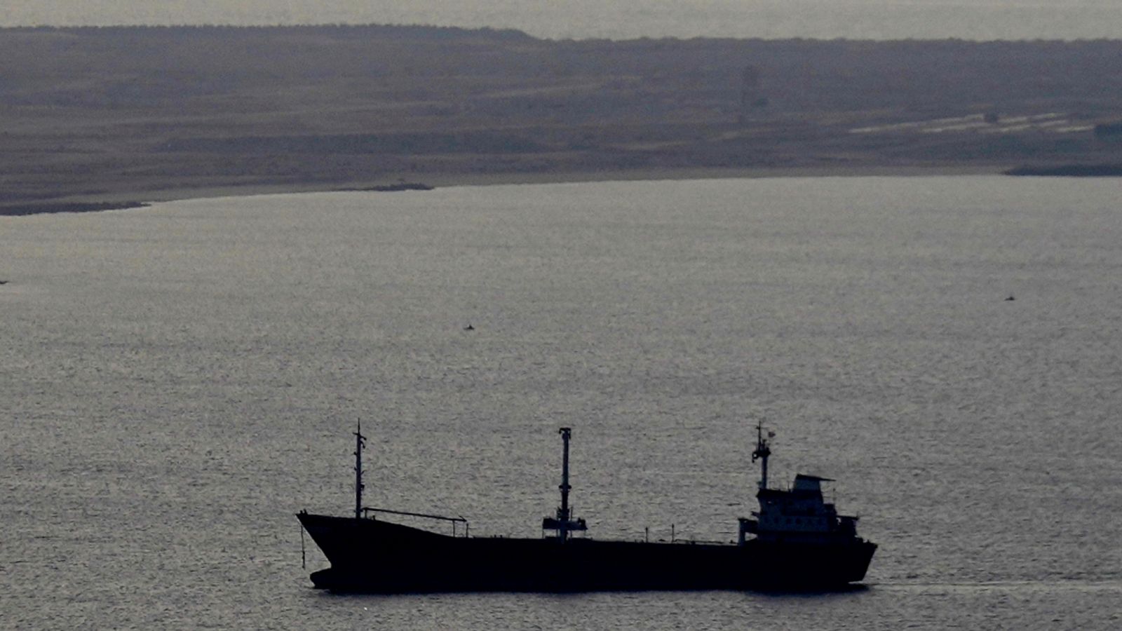A cargo ship approaches Dubai. File pic: AP