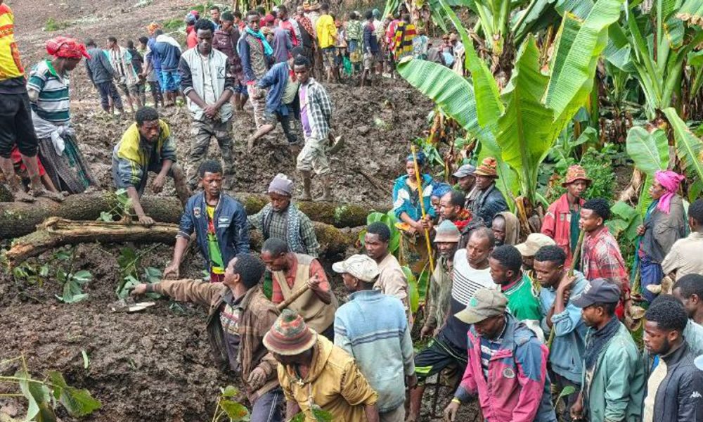 Locals search for the bodies of mudslide victims in the Gacho Baba district of the Gamo Zone in southern Ethiopia. Pic: AP