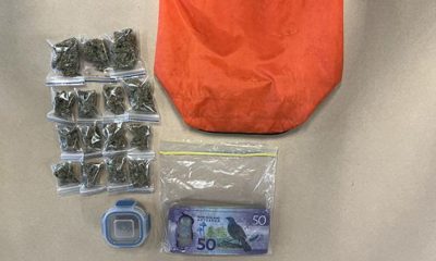 The bag left at the charity shop contained cannabis and cash. Pic: AP