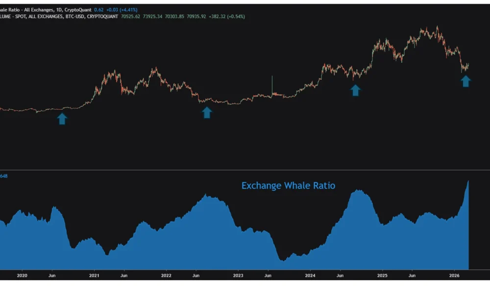 Bitcoin Whale Activity Hits Six-Year High as Retail Participation Stays Near Cycle Lows