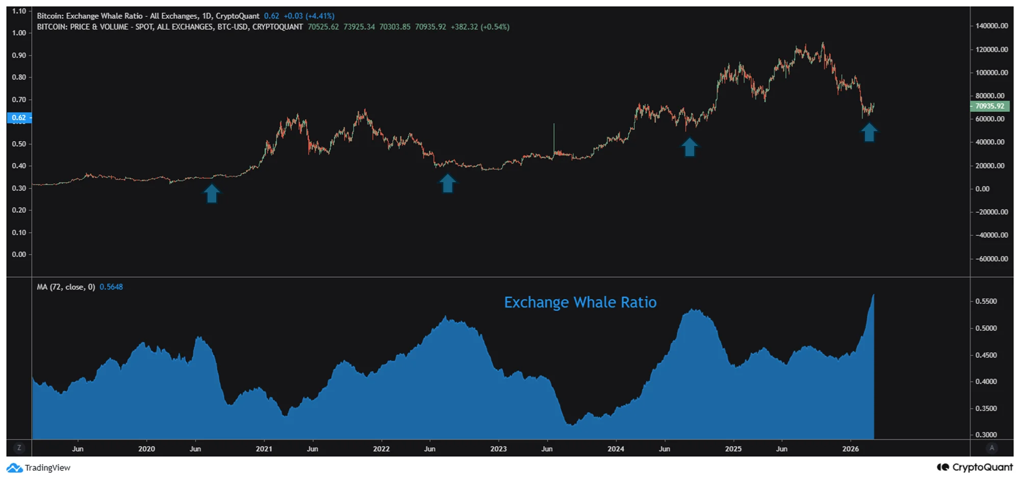 Bitcoin Whale Activity Hits Six-Year High as Retail Participation Stays Near Cycle Lows