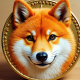 Dogecoin price shows signs of recovering