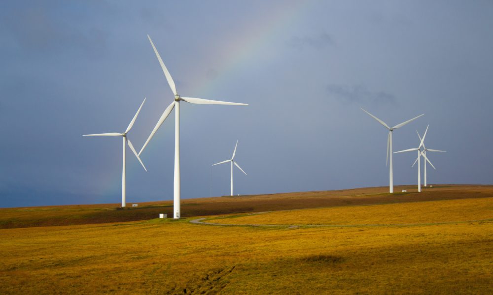 Top 5 Energy Sources Power Australia's Transition: Renewables Surpass 50%