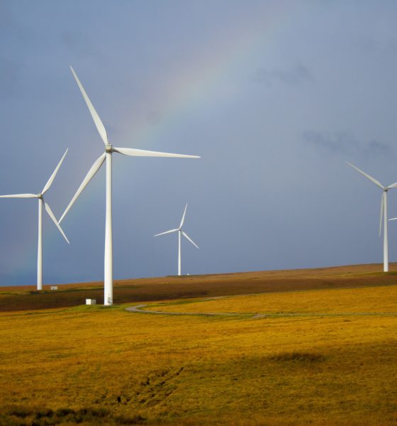 Top 5 Energy Sources Power Australia's Transition: Renewables Surpass 50%