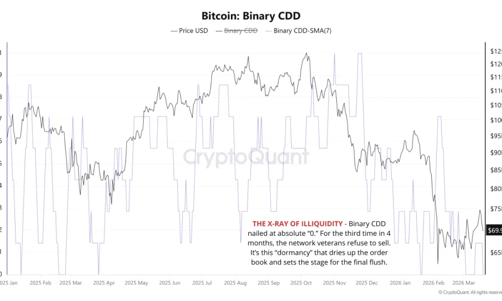 Bitcoin Faces Flush Risk as Momentum Collapses and Institutional Demand Retreats
