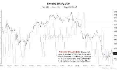 Bitcoin Faces Flush Risk as Momentum Collapses and Institutional Demand Retreats
