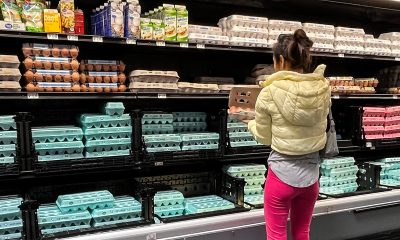 February inflation breakdown: What prices rose and fell the most?