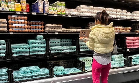 February inflation breakdown: What prices rose and fell the most?