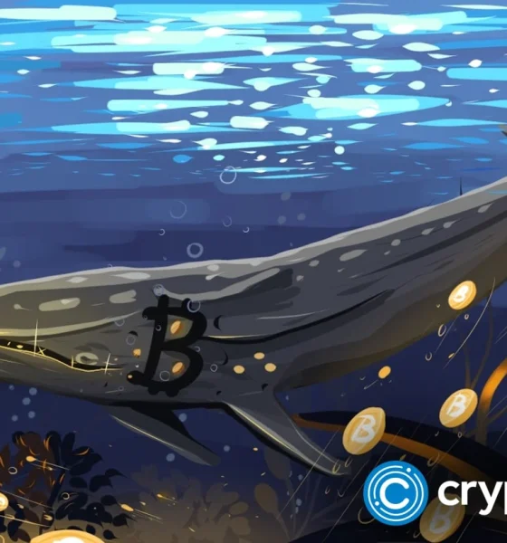Bitcoin whales add 61,568 BTC as price slips again