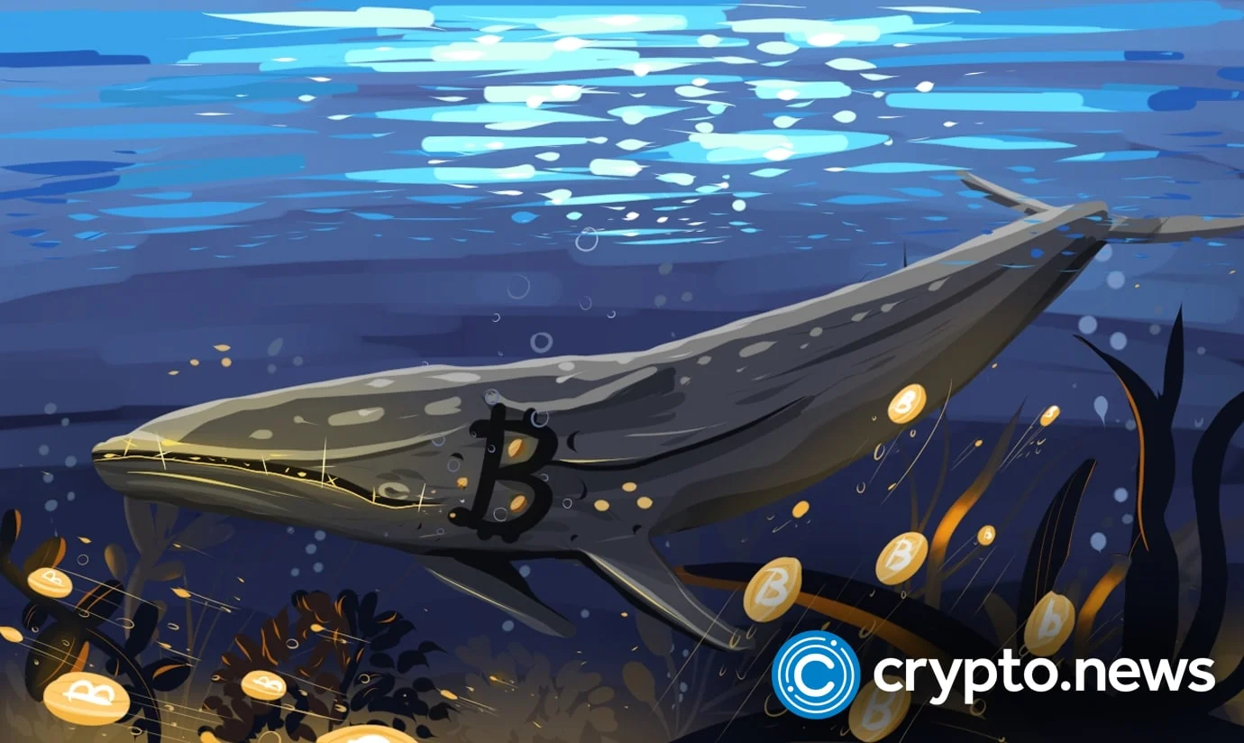 Bitcoin whales add 61,568 BTC as price slips again