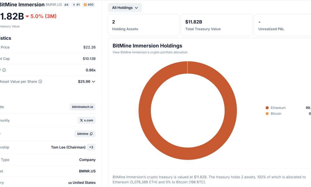 BitMine Holdings