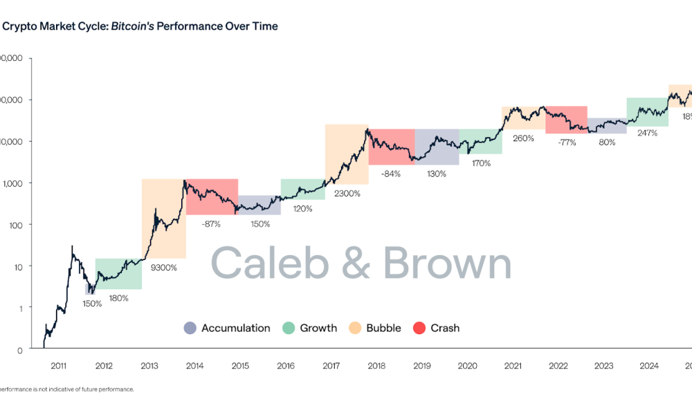Gen Z Turns Bitcoin Into A Solid Portfolio Diversifier