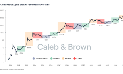 Gen Z Turns Bitcoin Into A Solid Portfolio Diversifier
