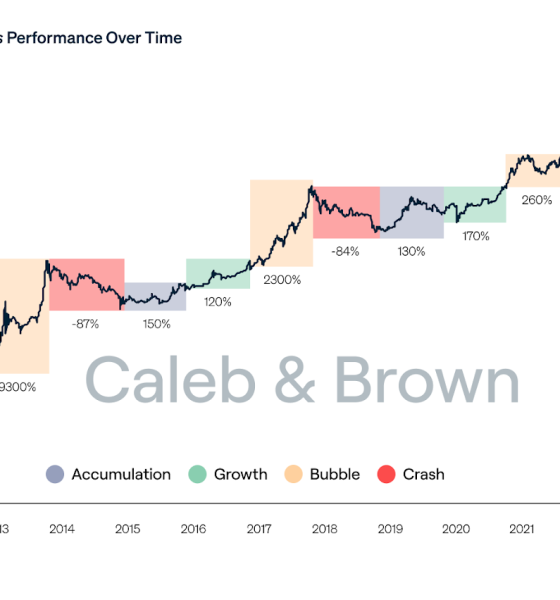 Gen Z Turns Bitcoin Into A Solid Portfolio Diversifier