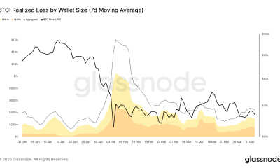 Bitcoin Whales, Sharks Realized $337M in Daily Losses in Q1 2026