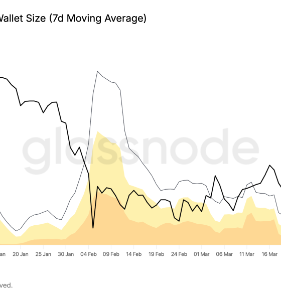 Bitcoin Whales, Sharks Realized $337M in Daily Losses in Q1 2026