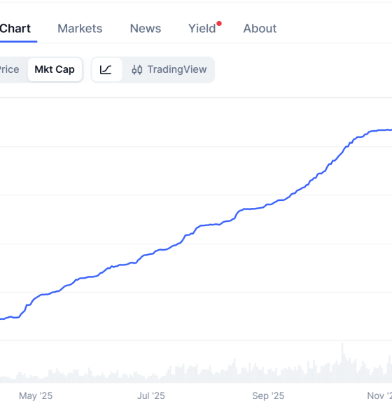 Tether May Delay Fundraising If Demand Falls Short at $500B Valuation