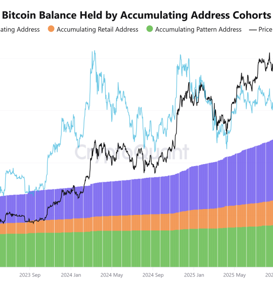 Cryptocurrencies, Bitcoin Price, Bitcoin Analysis, Adoption, Markets, Market Analysis, Bitcoin Adoption, Bitcoin ETF, Bitcoin Reserve