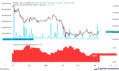 Cryptocurrencies, Bitcoin Price, Bitcoin Analysis, Markets, Price Analysis, Market Analysis, Whale