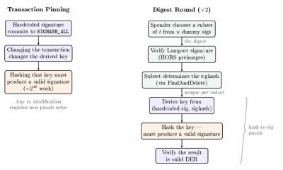 Quantum-Safe Bitcoin Transactions Need No Protocol Upgrade