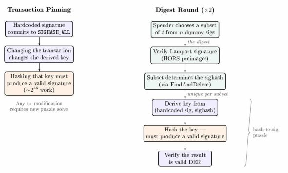 Quantum-Safe Bitcoin Transactions Need No Protocol Upgrade