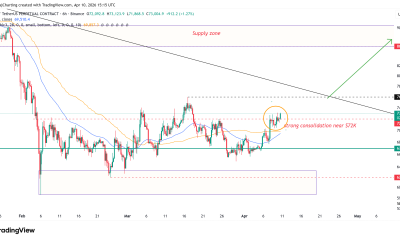 Cryptocurrencies, Bitcoin Price, Bitcoin Analysis, Adoption, Markets, Cryptocurrency Exchange, Derivatives, Financial Derivatives, Bitcoin Futures, Price Analysis, Market Analysis