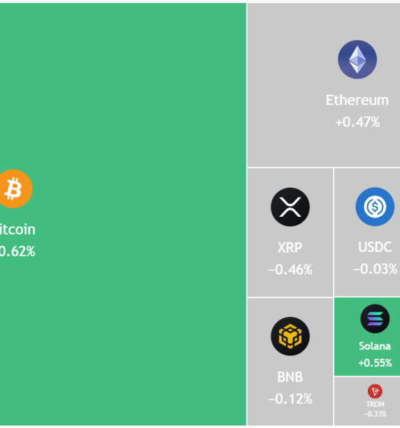 Bitcoin, Altcoin Traders Attempt To Restart Bull Market: Will They Win?