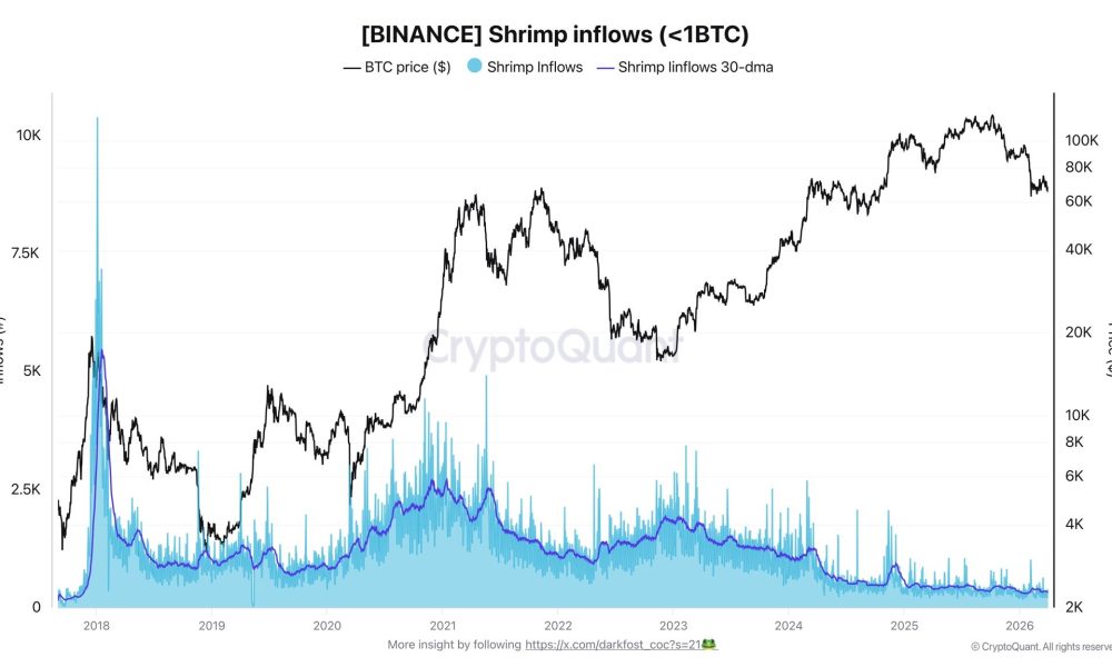 Institutions Lead Crypto as Retail Investors Pull Back