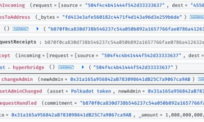 Hacker Steals $237K after Minting 1B Bridged DOT on Hyperbridge